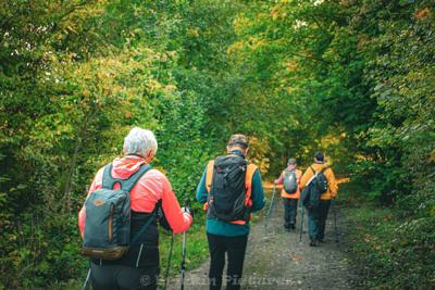 Photo de la journée