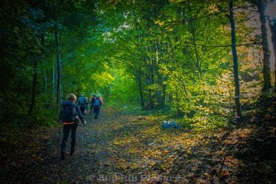 Photo de la journée