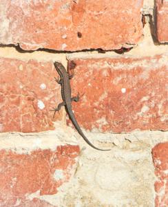 Photo de la journée