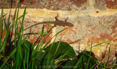 Photo de la journée