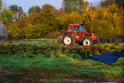 Photo de la journée