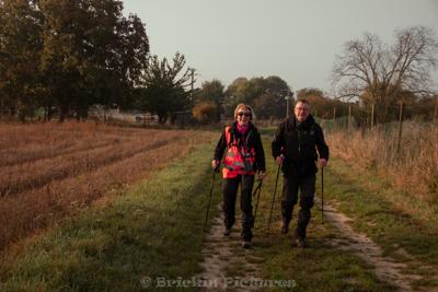 Photo de la journée