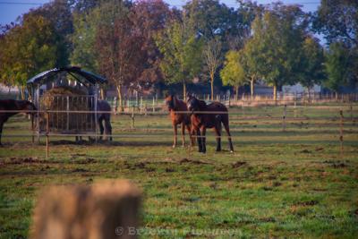 Photo de la journée