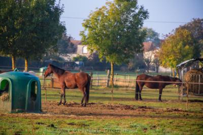 Photo de la journée
