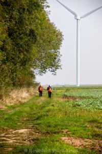 Photo de la journée