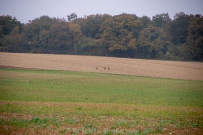 Photo de la journée