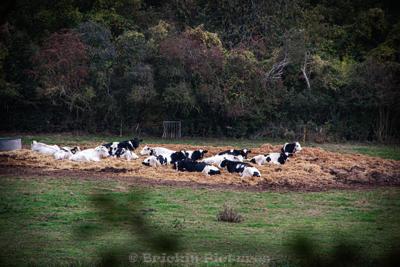 Photo de la journée
