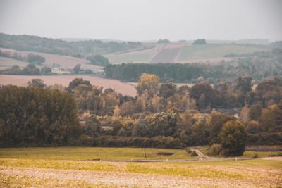 Photo de la journée