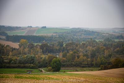 Photo de la journée