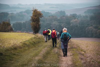Photo de la journée