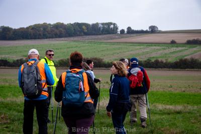 Photo de la journée