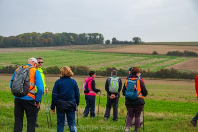 Photo de la journée