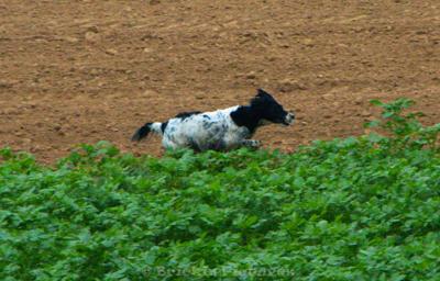 Photo de la journée