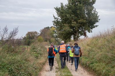 Photo de la journée