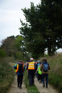 Photo de la journée