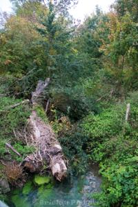 Photo de la journée