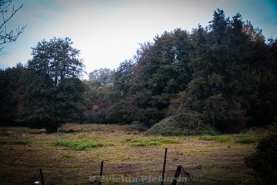 Photo de la journée