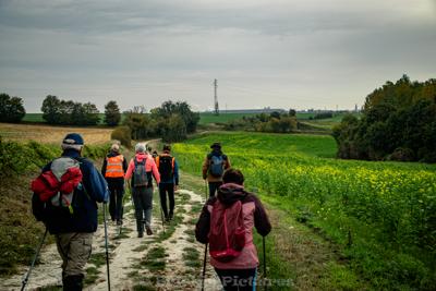 Photo de la journée
