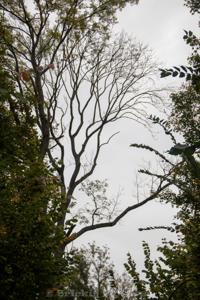 Photo de la journée