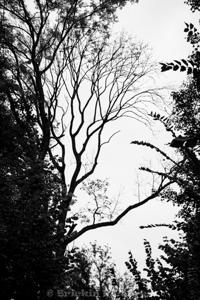 Photo de la journée