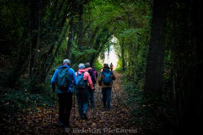 Photo de la journée