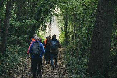 Photo de la journée