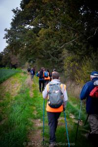 Photo de la journée