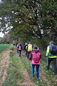 Photo de la journée