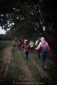 Photo de la journée