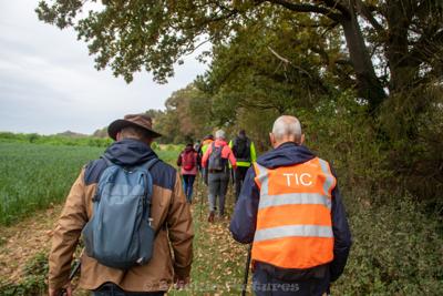 Photo de la journée
