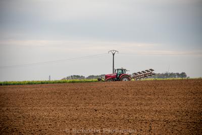 Photo de la journée