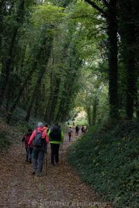 Photo de la journée