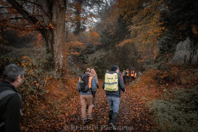 Photo de la journée