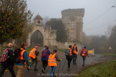 Photo de la journée