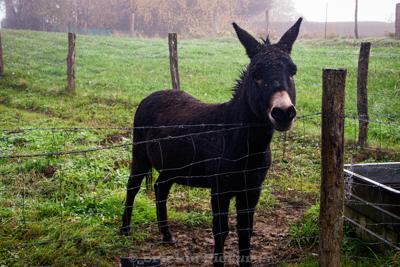 Photo de la journée