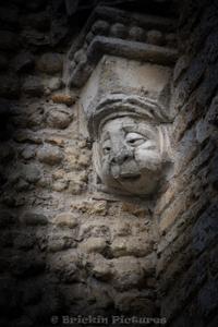 Photo de la journée