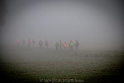 Photo de la journée