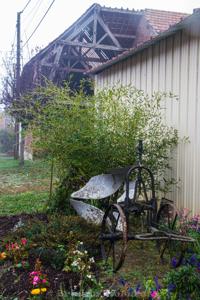 Photo de la journée