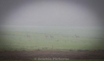 Photo de la journée
