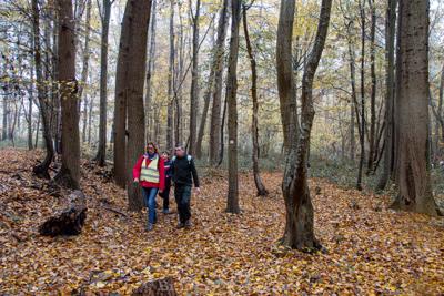 Photo de la journée