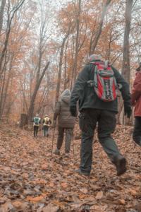 Photo de la journée