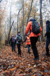 Photo de la journée