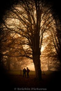 Photo de la journée