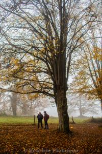 Photo de la journée