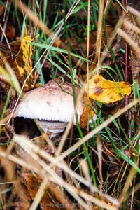 Photo de la journée