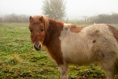 Photo de la journée