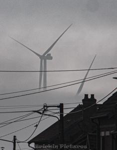 Photo de la journée