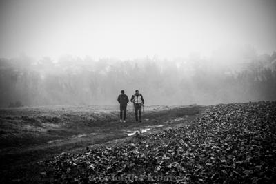 Photo de la journée