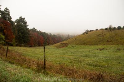 Photo de la journée