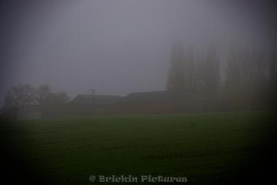 Photo de la journée